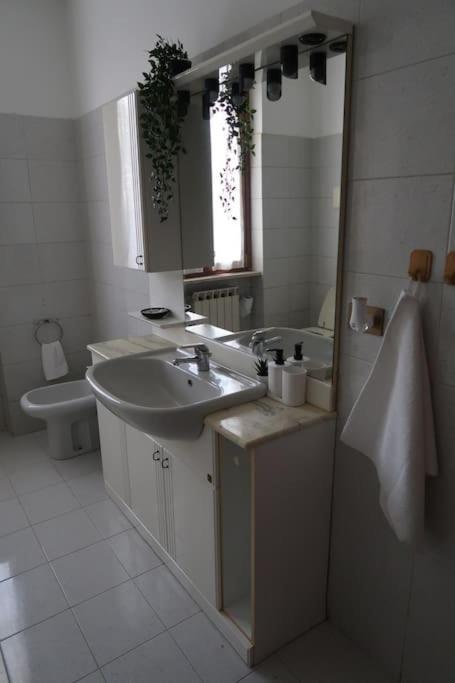 Casa Rene: Appartamento In Franciacorta Castegnato Bagian luar foto
